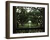 Oak Trees in Front of a Mansion, Oak Alley Plantation, Vacherie, Louisiana, USA-null-Framed Photographic Print