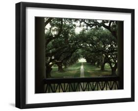 Oak Trees in Front of a Mansion, Oak Alley Plantation, Vacherie, Louisiana, USA-null-Framed Photographic Print