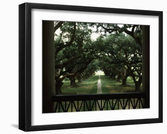 Oak Trees in Front of a Mansion, Oak Alley Plantation, Vacherie, Louisiana, USA-null-Framed Photographic Print
