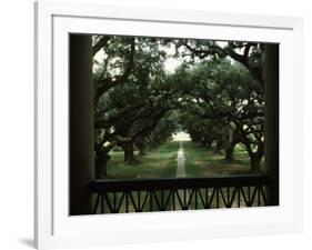 Oak Trees in Front of a Mansion, Oak Alley Plantation, Vacherie, Louisiana, USA-null-Framed Photographic Print