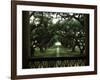 Oak Trees in Front of a Mansion, Oak Alley Plantation, Vacherie, Louisiana, USA-null-Framed Photographic Print