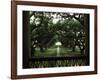 Oak Trees in Front of a Mansion, Oak Alley Plantation, Vacherie, Louisiana, USA-null-Framed Photographic Print