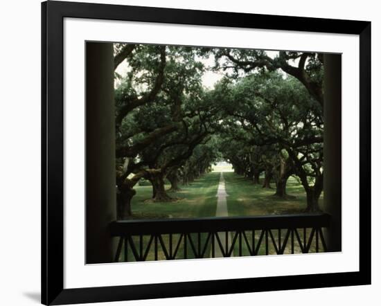 Oak Trees in Front of a Mansion, Oak Alley Plantation, Vacherie, Louisiana, USA-null-Framed Photographic Print