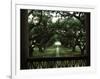 Oak Trees in Front of a Mansion, Oak Alley Plantation, Vacherie, Louisiana, USA-null-Framed Photographic Print