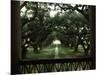 Oak Trees in Front of a Mansion, Oak Alley Plantation, Vacherie, Louisiana, USA-null-Mounted Photographic Print