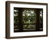 Oak Trees in Front of a Mansion, Oak Alley Plantation, Vacherie, Louisiana, USA-null-Framed Photographic Print