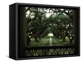 Oak Trees in Front of a Mansion, Oak Alley Plantation, Vacherie, Louisiana, USA-null-Framed Stretched Canvas