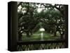 Oak Trees in Front of a Mansion, Oak Alley Plantation, Vacherie, Louisiana, USA-null-Stretched Canvas