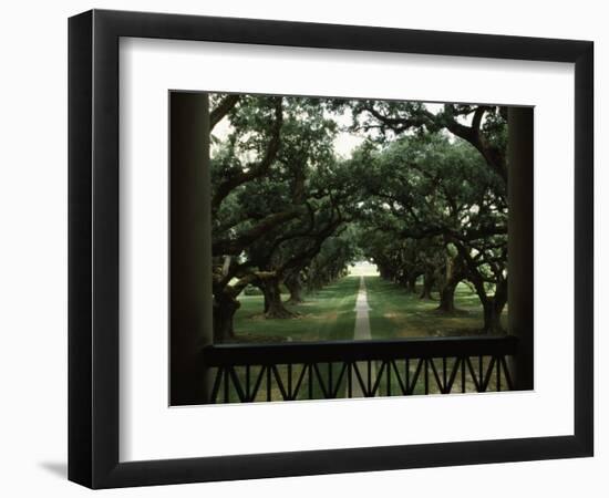 Oak Trees in Front of a Mansion, Oak Alley Plantation, Vacherie, Louisiana, USA-null-Framed Photographic Print