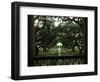 Oak Trees in Front of a Mansion, Oak Alley Plantation, Vacherie, Louisiana, USA-null-Framed Photographic Print