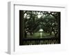 Oak Trees in Front of a Mansion, Oak Alley Plantation, Vacherie, Louisiana, USA-null-Framed Photographic Print