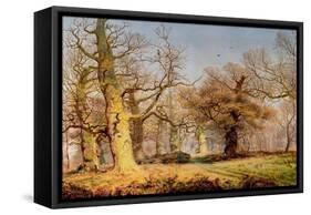 Oak Trees in Sherwood Forest, 1877-Andrew Maccallum-Framed Stretched Canvas