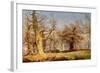 Oak Trees in Sherwood Forest, 1877-Andrew Maccallum-Framed Giclee Print