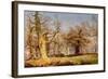 Oak Trees in Sherwood Forest, 1877-Andrew Maccallum-Framed Giclee Print