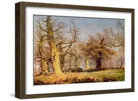 Oak Trees in Sherwood Forest, 1877-Andrew Maccallum-Framed Giclee Print