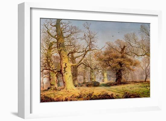 Oak Trees in Sherwood Forest, 1877-Andrew Maccallum-Framed Giclee Print