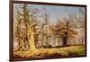 Oak Trees in Sherwood Forest, 1877-Andrew Maccallum-Framed Giclee Print