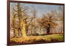 Oak Trees in Sherwood Forest, 1877-Andrew Maccallum-Framed Giclee Print