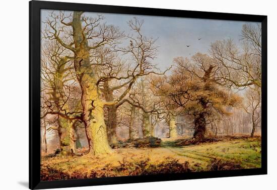 Oak Trees in Sherwood Forest, 1877-Andrew Maccallum-Framed Giclee Print