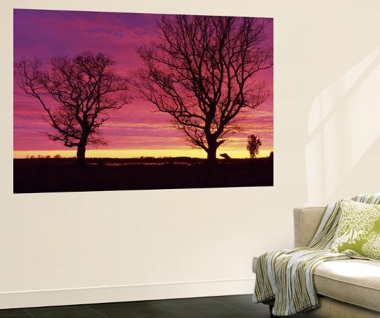 Giant Art Print, , large