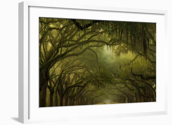 Oak Trees with Spanish Moss, Savannah, Georgia, USA-Joanne Wells-Framed Photographic Print