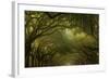 Oak Trees with Spanish Moss, Savannah, Georgia, USA-Joanne Wells-Framed Photographic Print