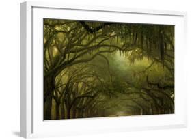 Oak Trees with Spanish Moss, Savannah, Georgia, USA-Joanne Wells-Framed Photographic Print