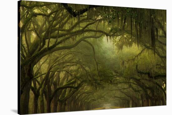 Oak Trees with Spanish Moss, Savannah, Georgia, USA-Joanne Wells-Stretched Canvas