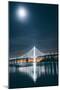 Oakland Bay Bridge and Moonlight Portrait-null-Mounted Photographic Print