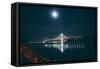 Oakland Bay Bridge by Moonlight and Reflection-Vincent James-Framed Stretched Canvas