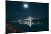 Oakland Bay Bridge by Moonlight and Reflection-Vincent James-Mounted Photographic Print