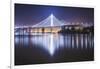 Oakland Bay Bridge, Night Reflection-Vincent James-Framed Photographic Print