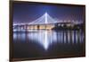 Oakland Bay Bridge, Night Reflection-Vincent James-Framed Photographic Print