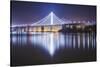 Oakland Bay Bridge, Night Reflection-Vincent James-Stretched Canvas