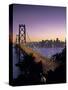 Oakland Bay Bridge, San Francisco, California, USA-Walter Bibikow-Stretched Canvas