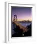 Oakland Bay Bridge, San Francisco, California, USA-Walter Bibikow-Framed Photographic Print