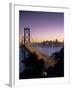 Oakland Bay Bridge, San Francisco, California, USA-Walter Bibikow-Framed Photographic Print