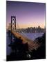 Oakland Bay Bridge, San Francisco, California, USA-Walter Bibikow-Mounted Photographic Print