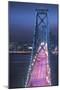 Oakland Bridge 1 Color-Moises Levy-Mounted Photographic Print