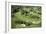 Oakland Hills Country Club, Hole 18 aerial-Dom Furore-Framed Premium Photographic Print