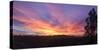 Oakland Hills Sunrise Panorama-Vincent James-Stretched Canvas