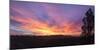 Oakland Hills Sunrise Panorama-Vincent James-Mounted Photographic Print