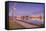 Oakland Lakeside Path, Lake Merritt-Vincent James-Framed Stretched Canvas