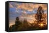 Oakland Rooftop Sunset, Oakland California-Vincent James-Framed Stretched Canvas