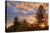 Oakland Rooftop Sunset, Oakland California-Vincent James-Stretched Canvas