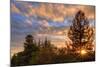 Oakland Rooftop Sunset, Oakland California-Vincent James-Mounted Photographic Print