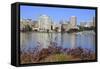 Oakland Skyline and Lake Merritt, Oakland, California, United States of America, North America-Richard Cummins-Framed Stretched Canvas