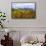 Oaks and Aspens Along Kebler Pass-Darrell Gulin-Framed Stretched Canvas displayed on a wall