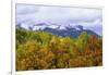 Oaks and Aspens Along Kebler Pass-Darrell Gulin-Framed Photographic Print