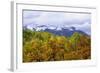 Oaks and Aspens Along Kebler Pass-Darrell Gulin-Framed Photographic Print